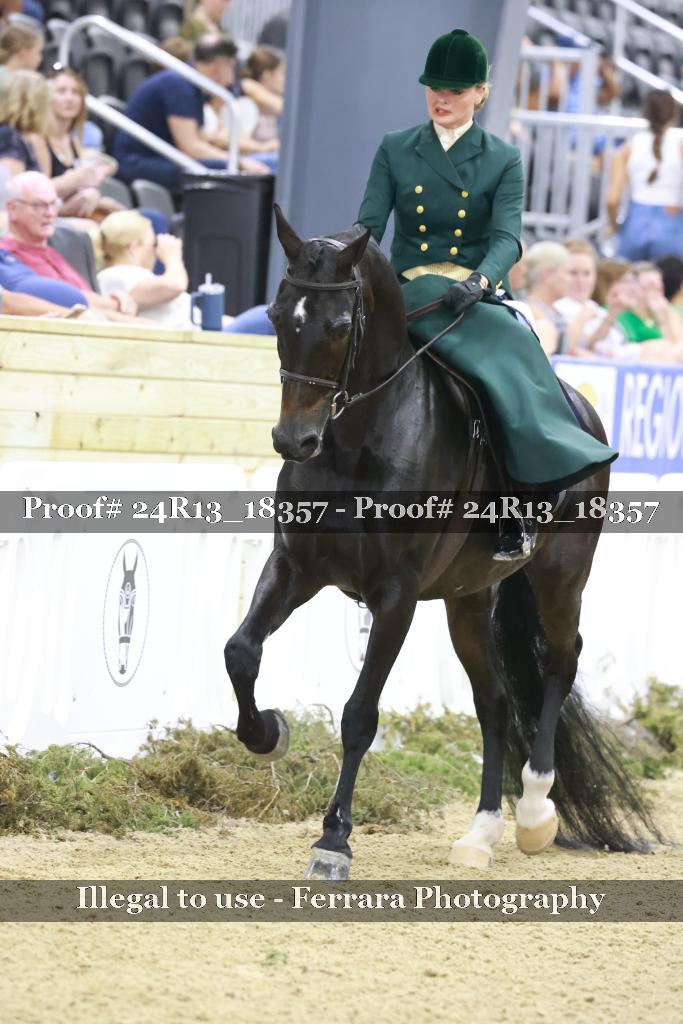 Proof 24R13_18357