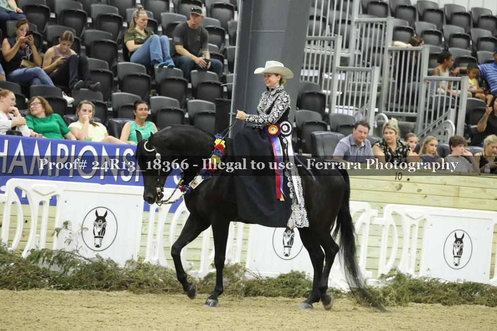 Proof 24R13_18366
