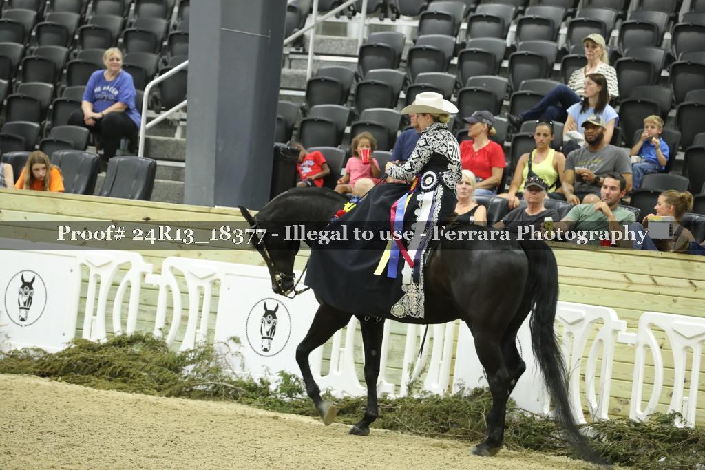 Proof 24R13_18377