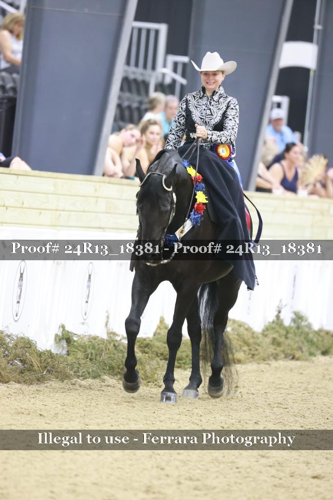 Proof 24R13_18381