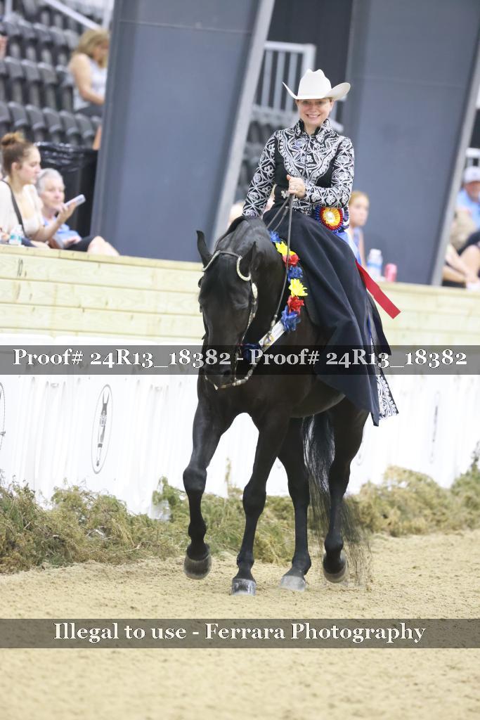 Proof 24R13_18382