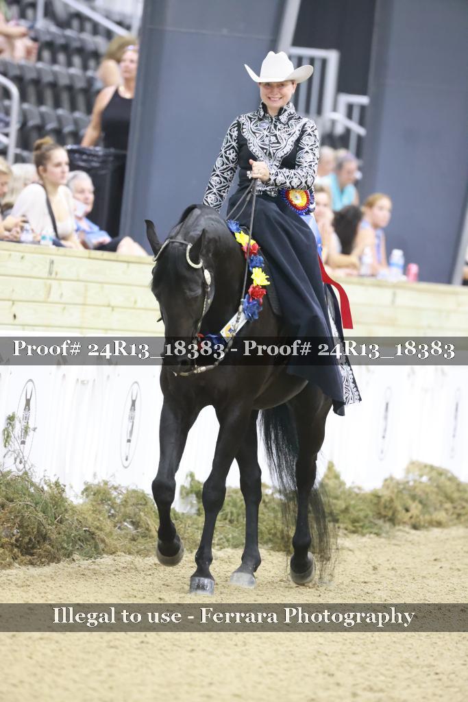 Proof 24R13_18383