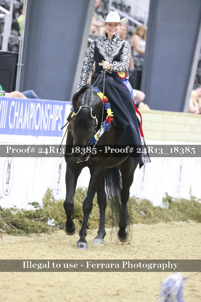 Proof 24R13_18385