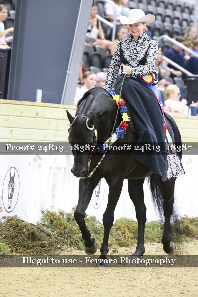 Proof 24R13_18387