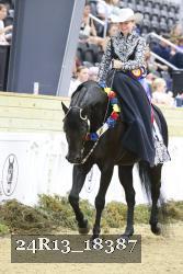 24R13_18387 proof