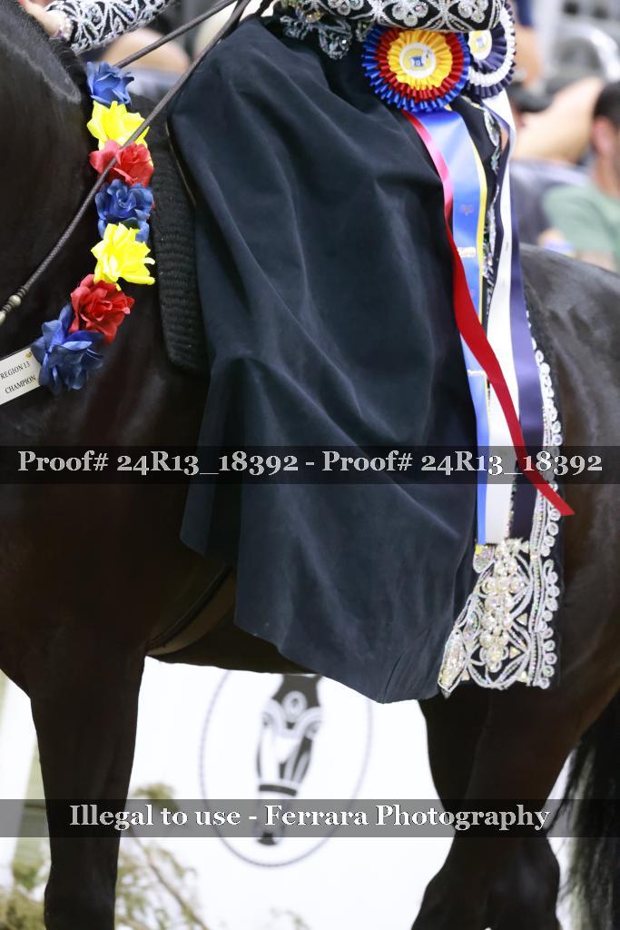 Proof 24R13_18392