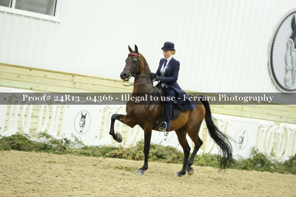 Proof 24R13_04366