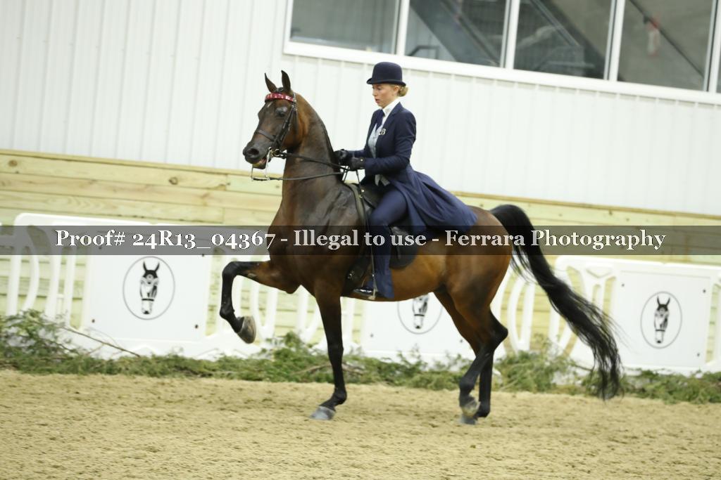 Proof 24R13_04367
