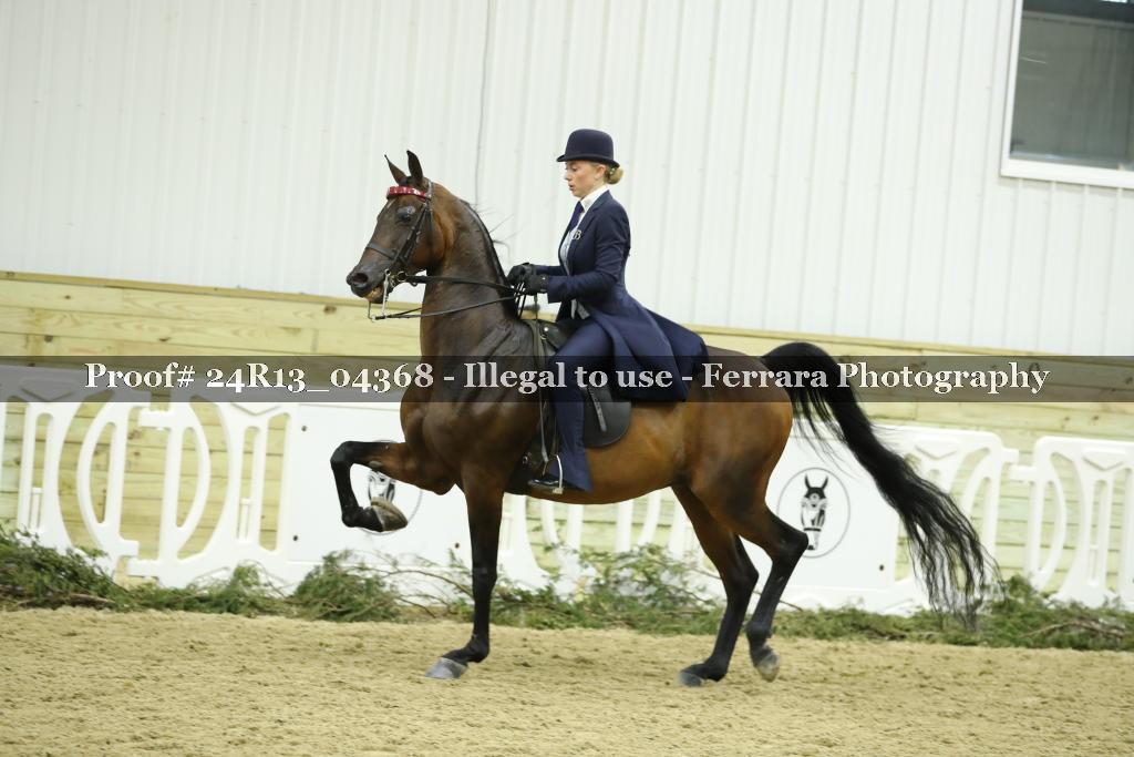 Proof 24R13_04368