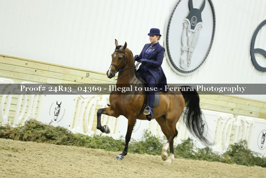 Proof 24R13_04369