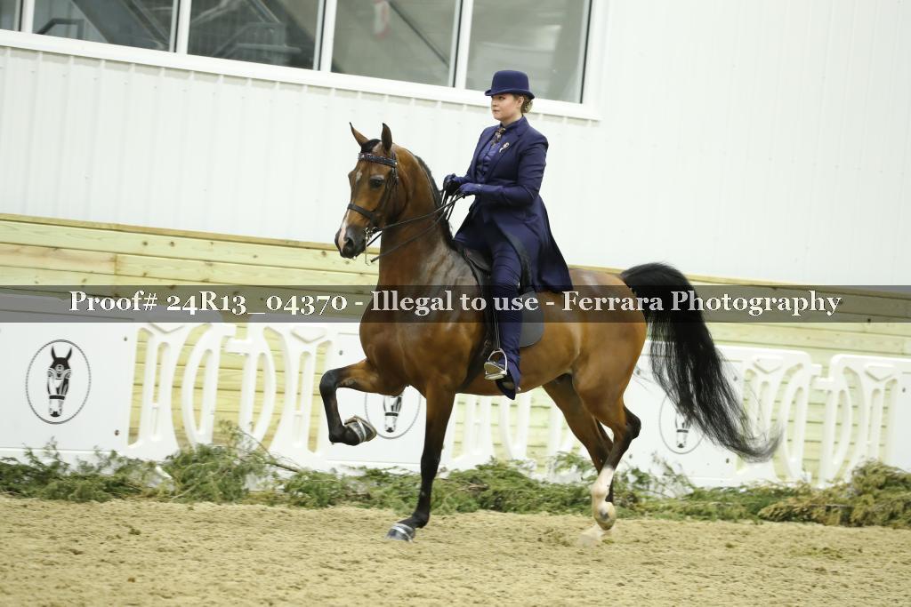 Proof 24R13_04370