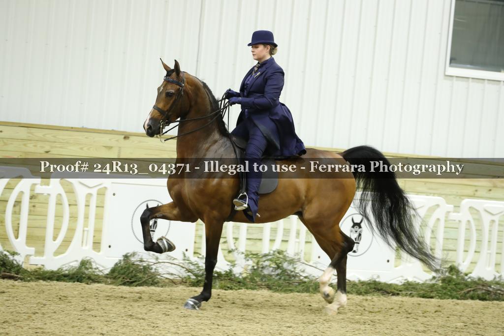Proof 24R13_04371