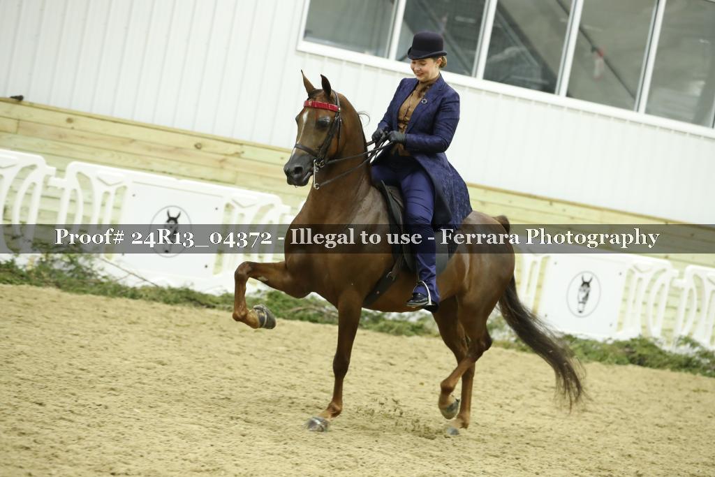 Proof 24R13_04372