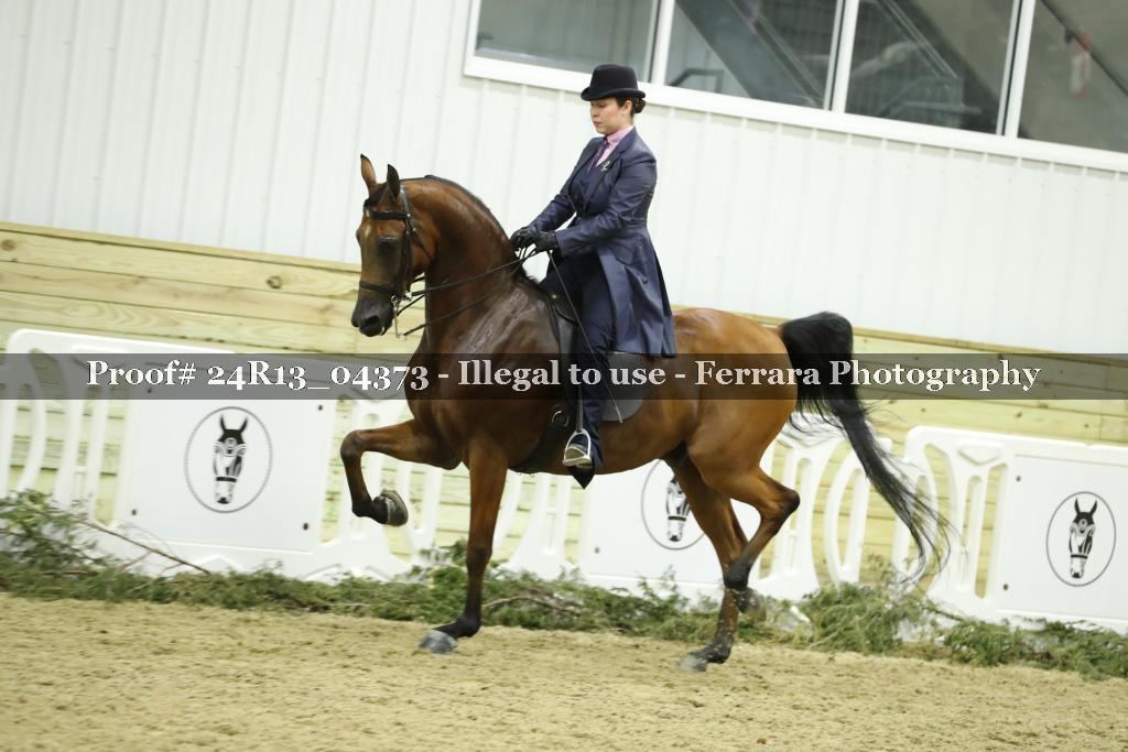 Proof 24R13_04373