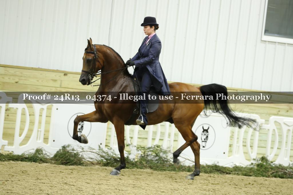 Proof 24R13_04374