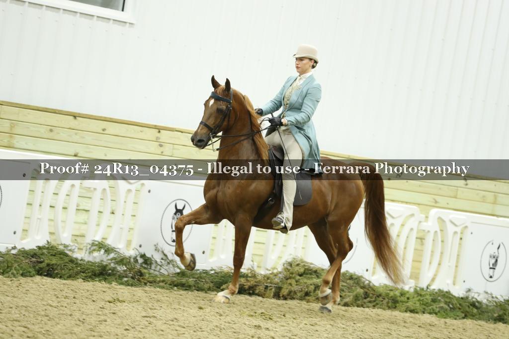 Proof 24R13_04375