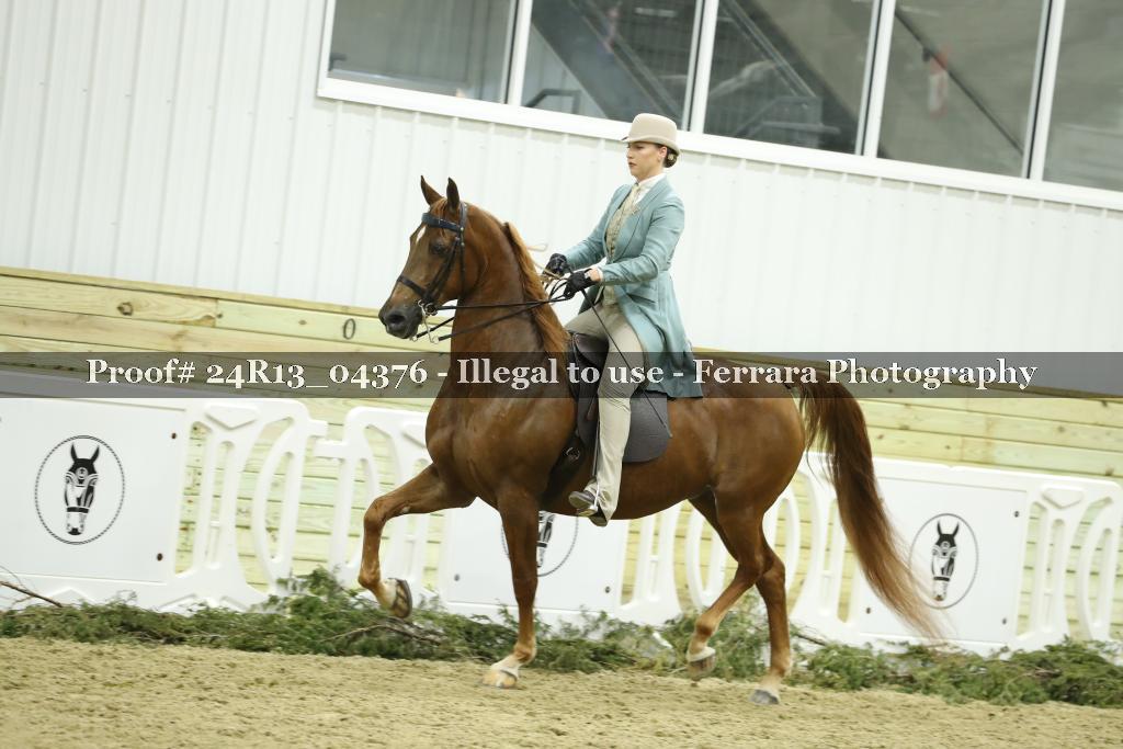 Proof 24R13_04376