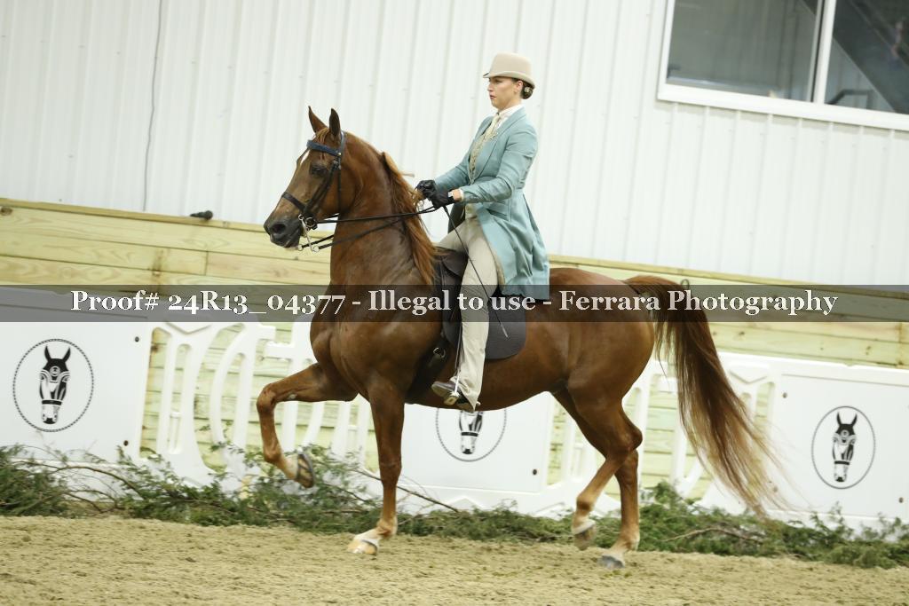Proof 24R13_04377