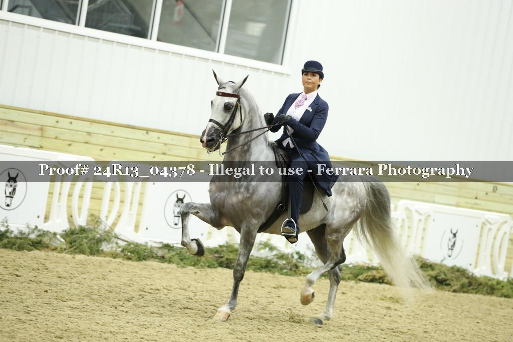 Proof 24R13_04378