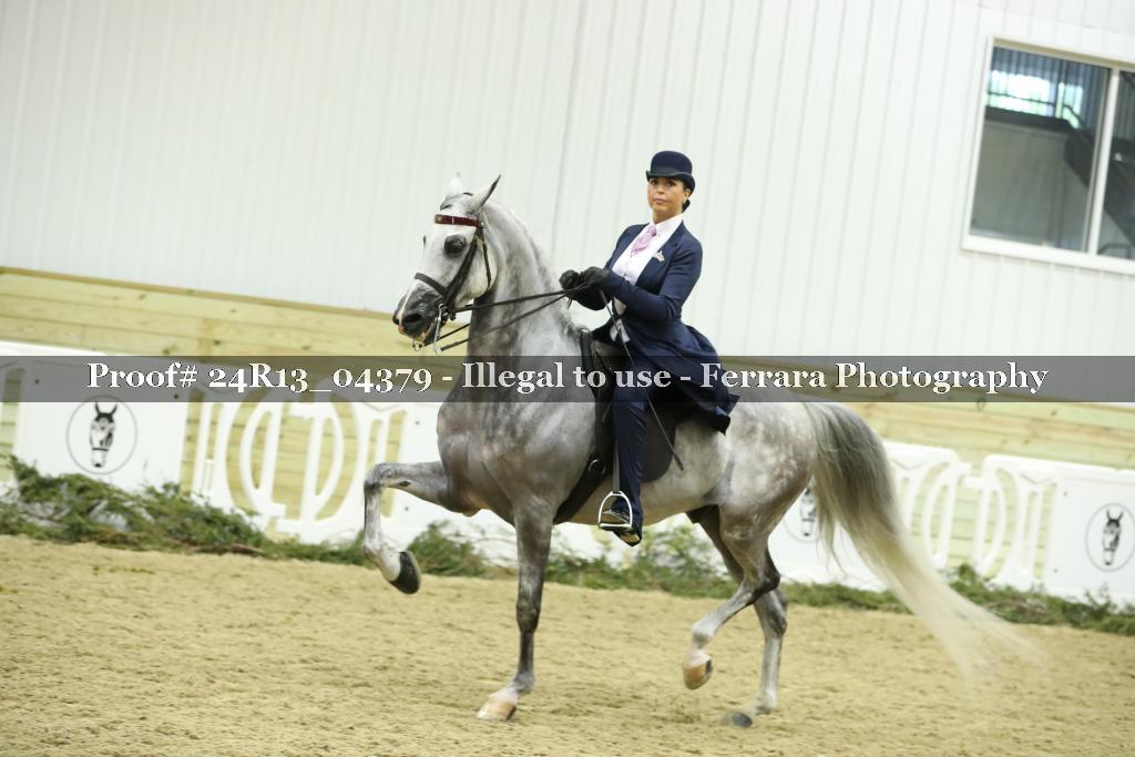 Proof 24R13_04379