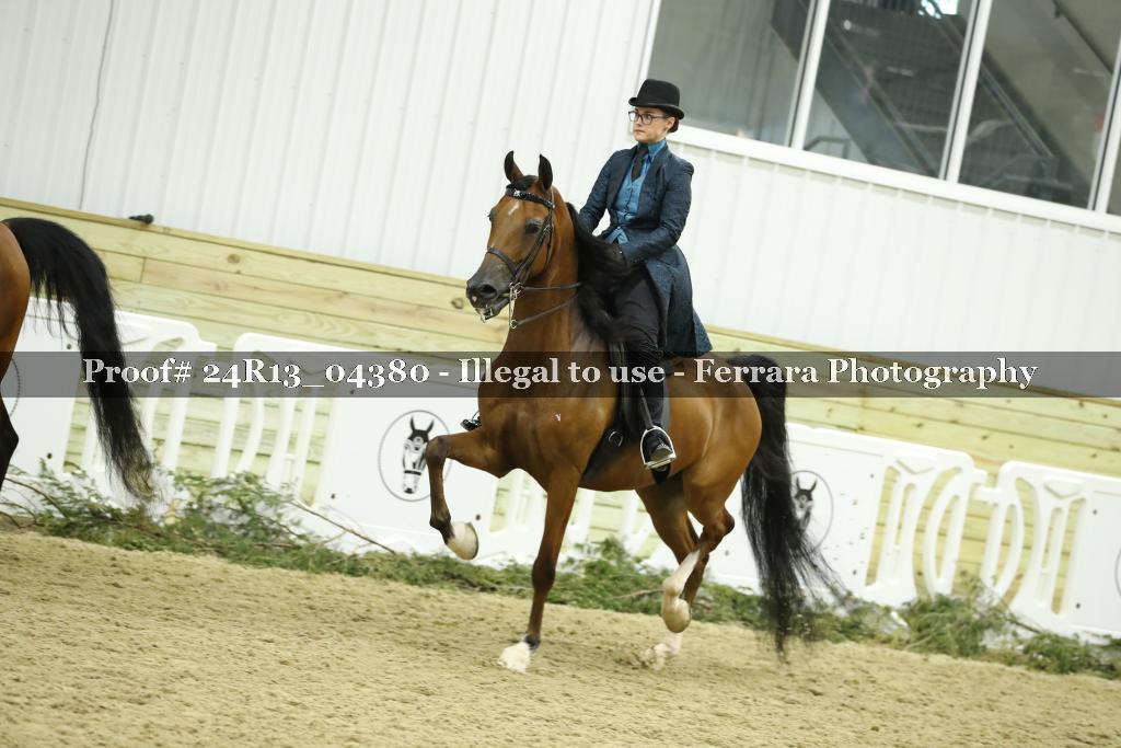 Proof 24R13_04380