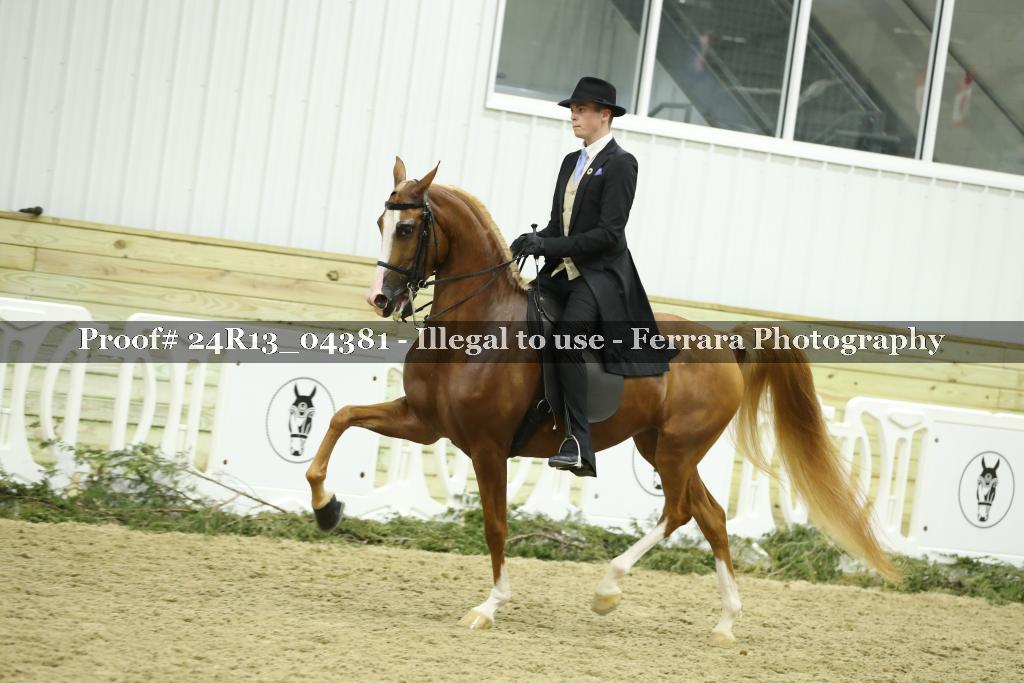 Proof 24R13_04381