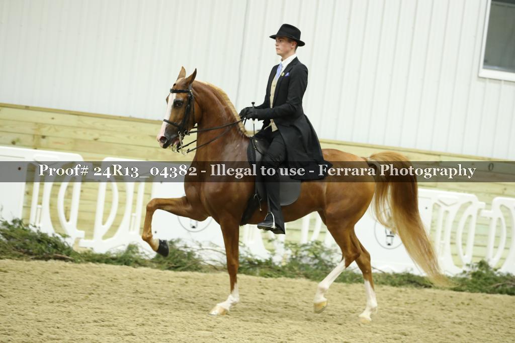 Proof 24R13_04382