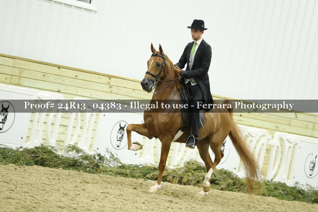 Proof 24R13_04383