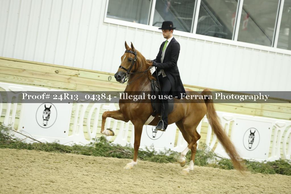 Proof 24R13_04384