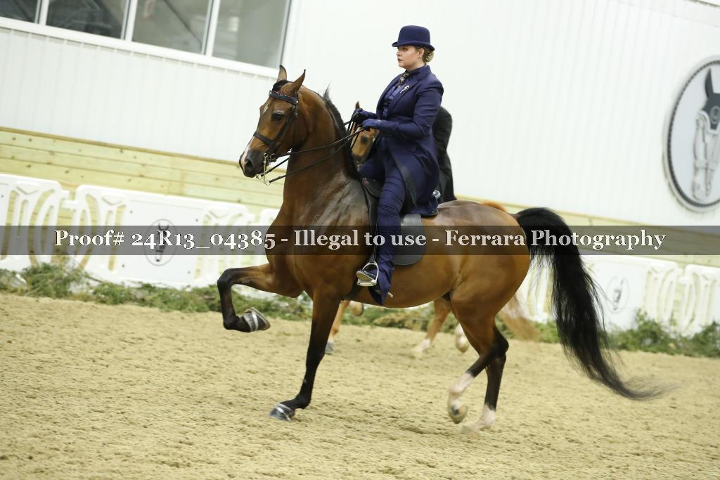 Proof 24R13_04385