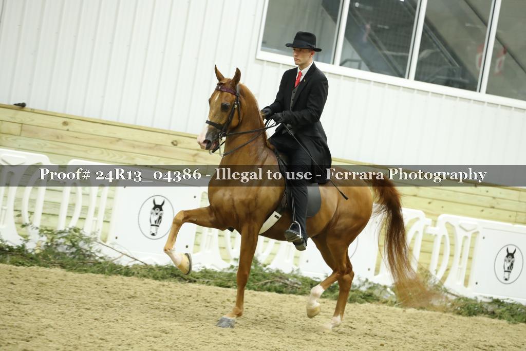 Proof 24R13_04386