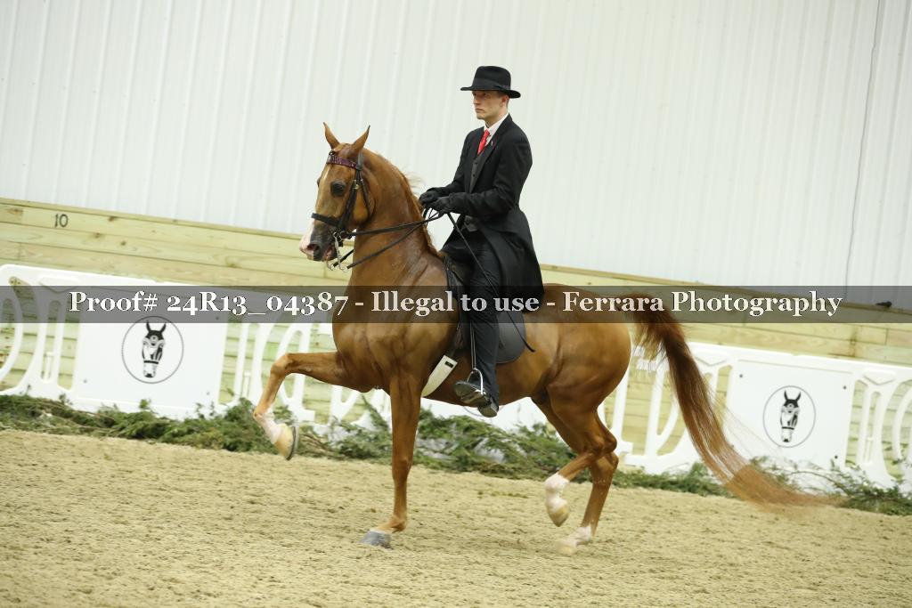 Proof 24R13_04387