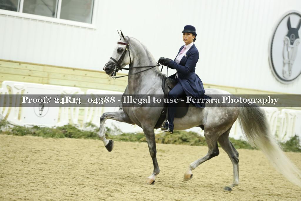 Proof 24R13_04388
