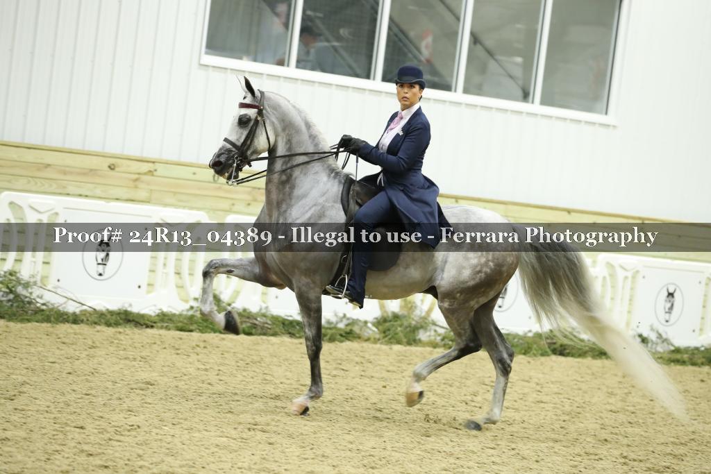 Proof 24R13_04389