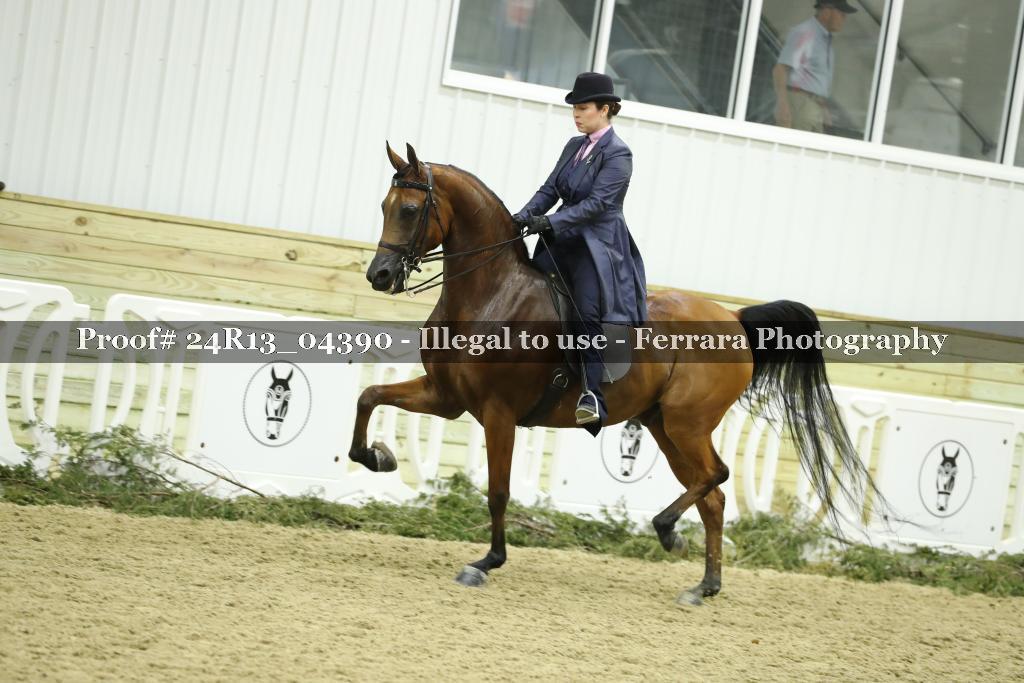 Proof 24R13_04390