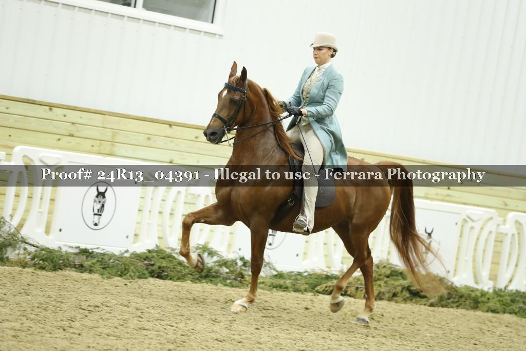 Proof 24R13_04391
