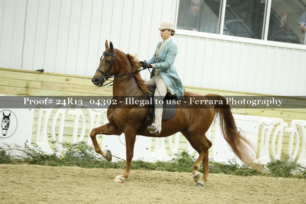 Proof 24R13_04392