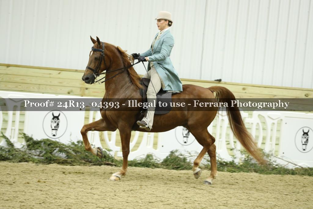 Proof 24R13_04393