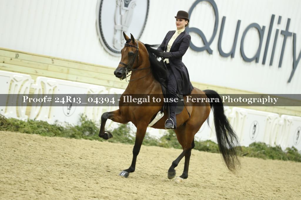 Proof 24R13_04394