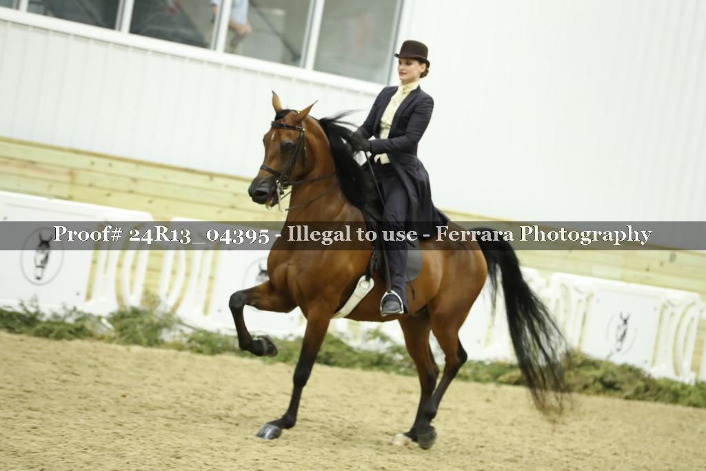 Proof 24R13_04395