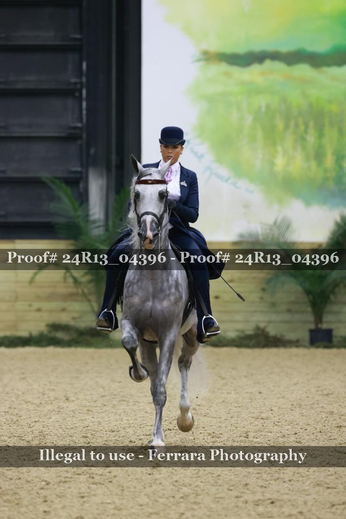 Proof 24R13_04396