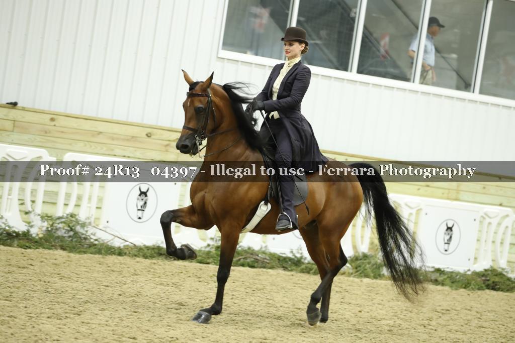 Proof 24R13_04397