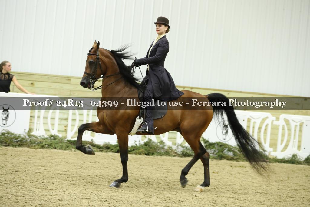 Proof 24R13_04399
