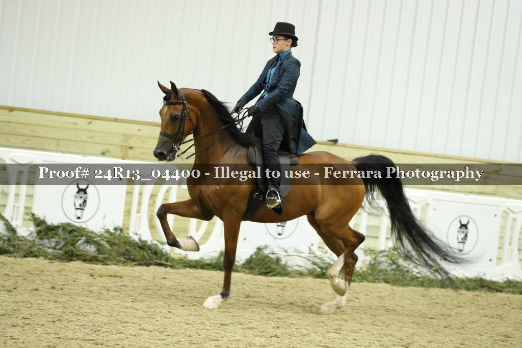 Proof 24R13_04400