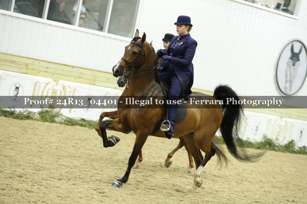 Proof 24R13_04401