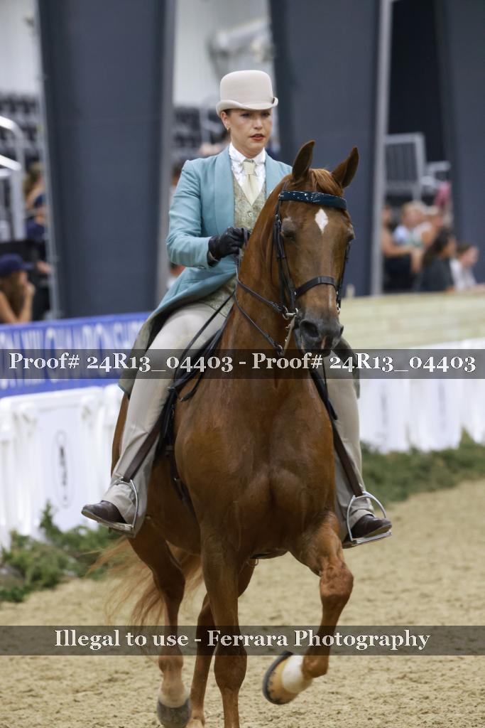 Proof 24R13_04403