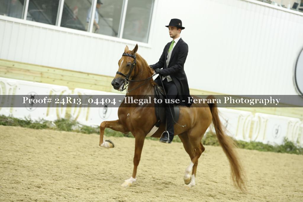 Proof 24R13_04404