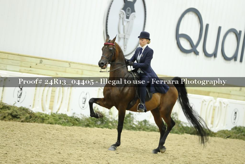 Proof 24R13_04405