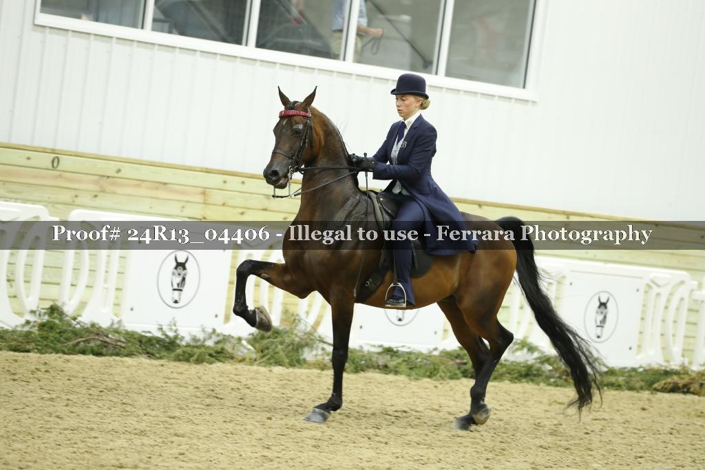 Proof 24R13_04406