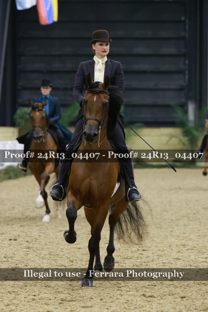 Proof 24R13_04407